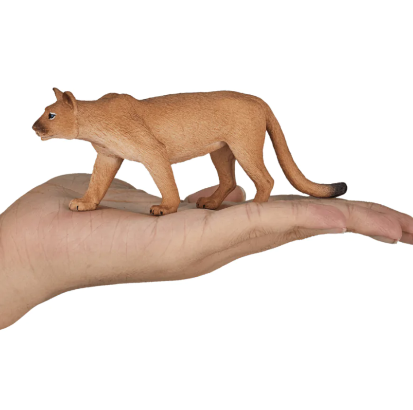 Screenshot 2025-06-04 170331