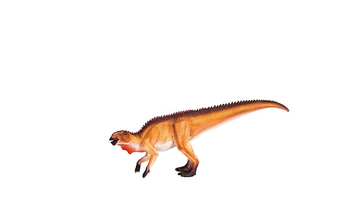 41POUoEpU9L.jpg_BO30,255,255,255_UF900,850_SR1910,1000,0,C_PIRIOFOUR-medium,BottomLeft,30,-20_ZA6,500,900,420,420,AmazonEmber,50,4,0,0_QL100_